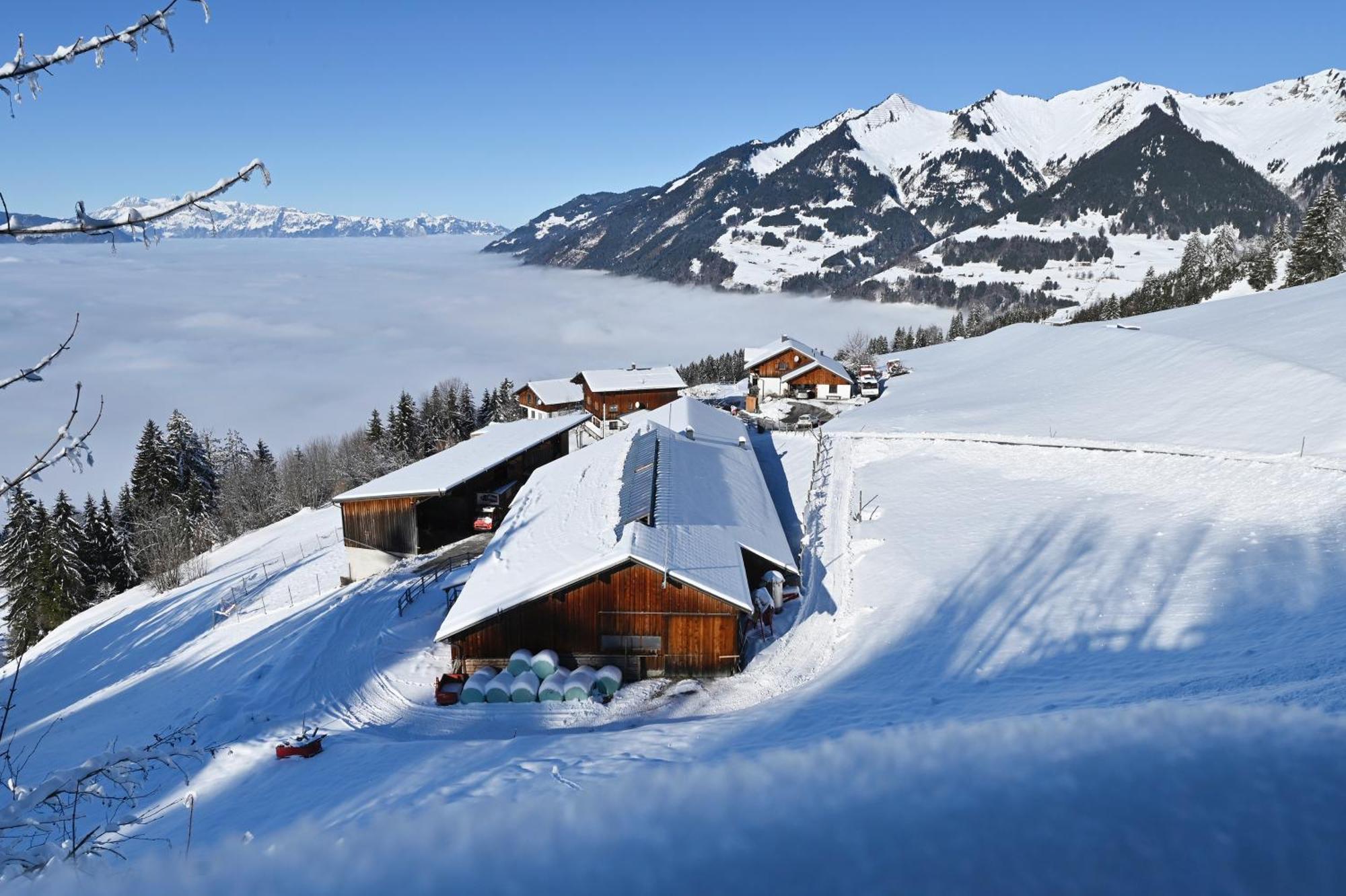 Berghof Burtscher Ludesch Buitenkant foto